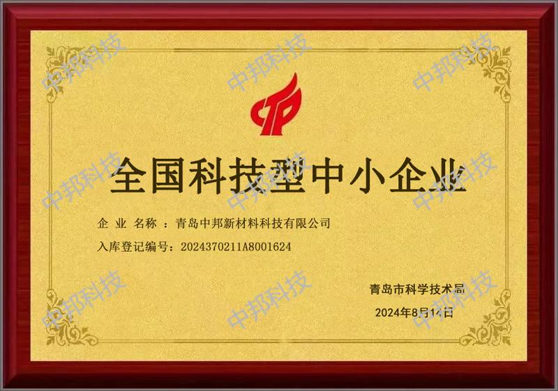 2024年全國科技型中小企業